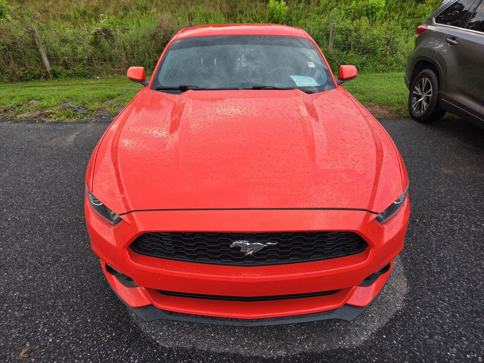 Used 2016  Ford V6 image 2
