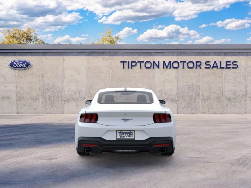 New 2026 Oxford White Ford EcoBoost® Fastback image 5