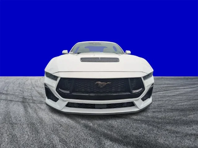 New 2026 Oxford White Ford GT Fastback image 9