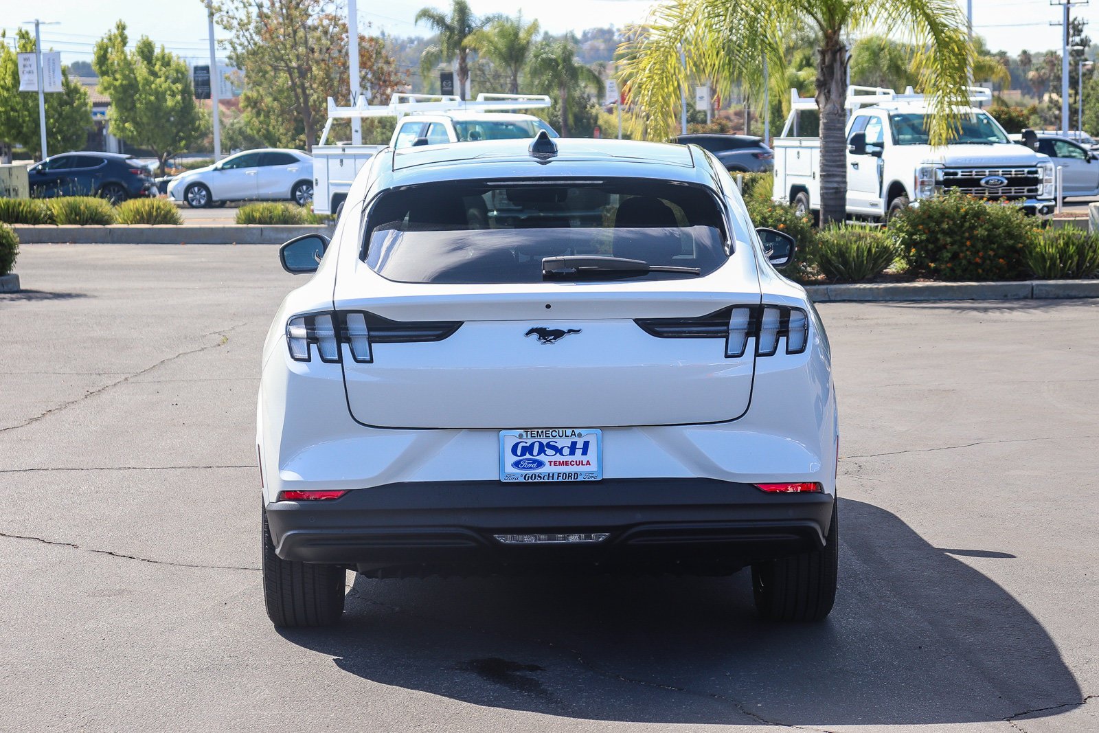 New 2026 Star White Metallic Tri-coat Ford Premium image 6