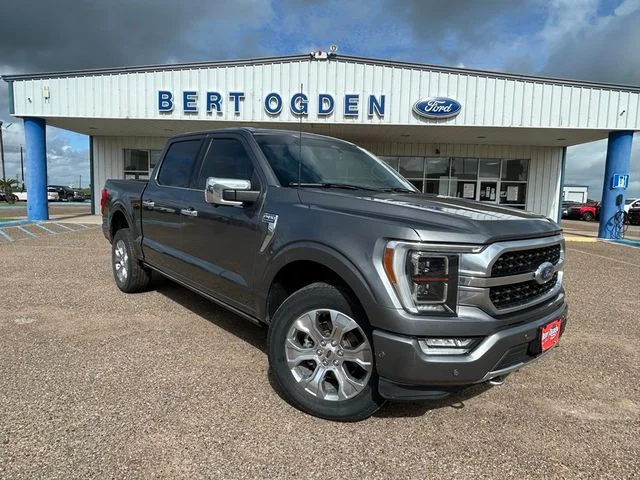 Used 2023 Gray Ford Platinum image 1