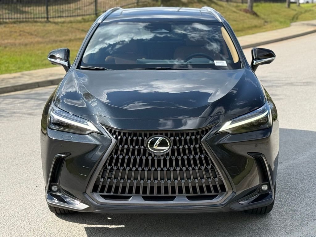 2026 Lexus NX 450h+ Luxury - Photo 8