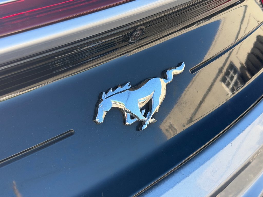 Used 2020 Silver Ford EcoBoost Premium image 12