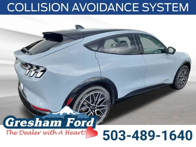 Used 2024 Gray Metallic Ford Premium image 6