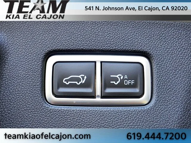New 2026 Brown Kia X-Line SX Prestige image 17