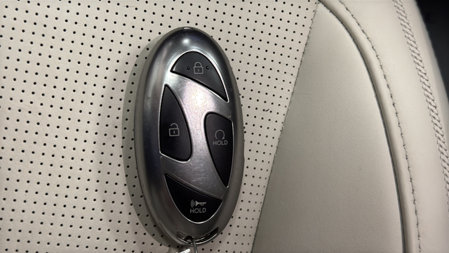 Used 2025 Ecotronic Gray Matte Hyundai Calligraphy image 21