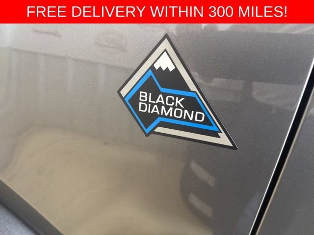 Used 2023 Gray Ford Black Diamond image 24