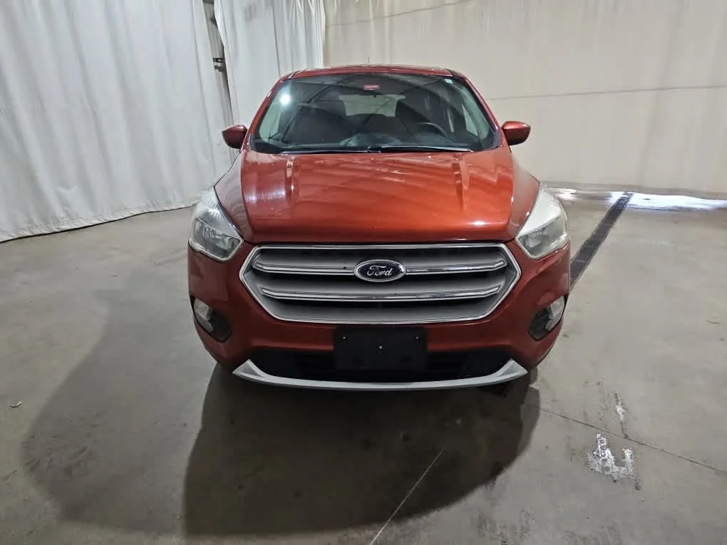 Used 2019 Sedona Orange Metallic Ford SE image 6