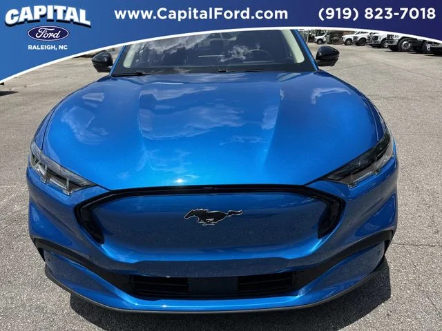 Used 2025 Blue Ford Premium image 10