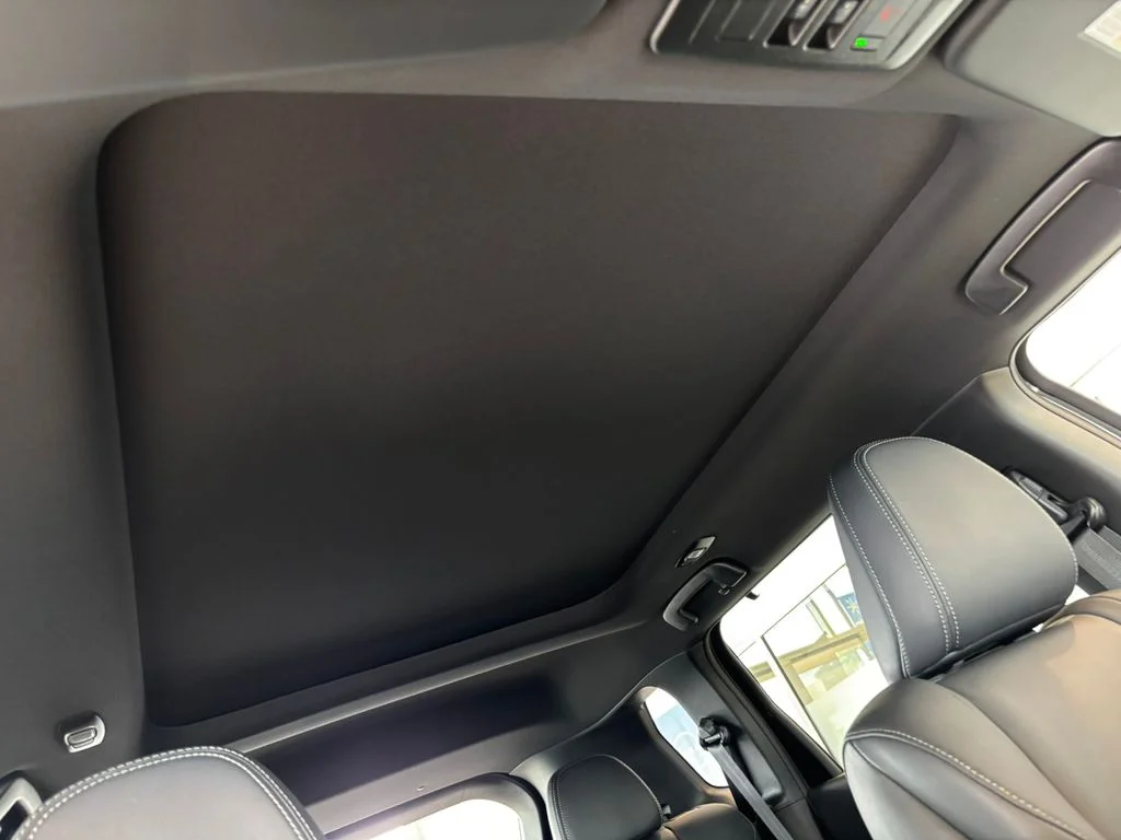 New 2026 Black Nissan Platinum image 28