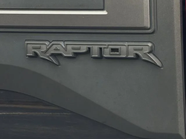 2019 Ford F-150 Raptor - Photo 9