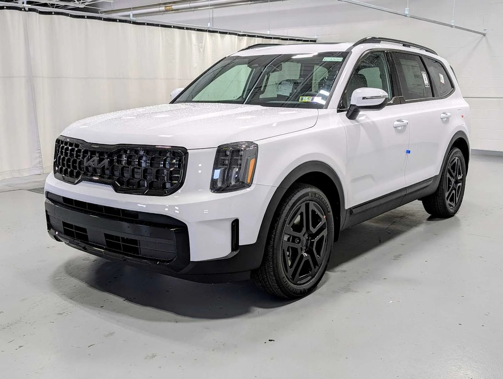 2025 Kia Telluride EX X-Line AWD's photo