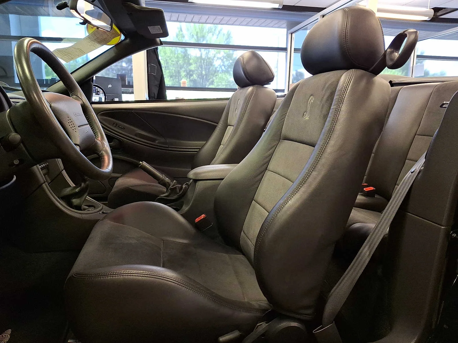 Used 2004 Black Ford SVT Cobra image 13