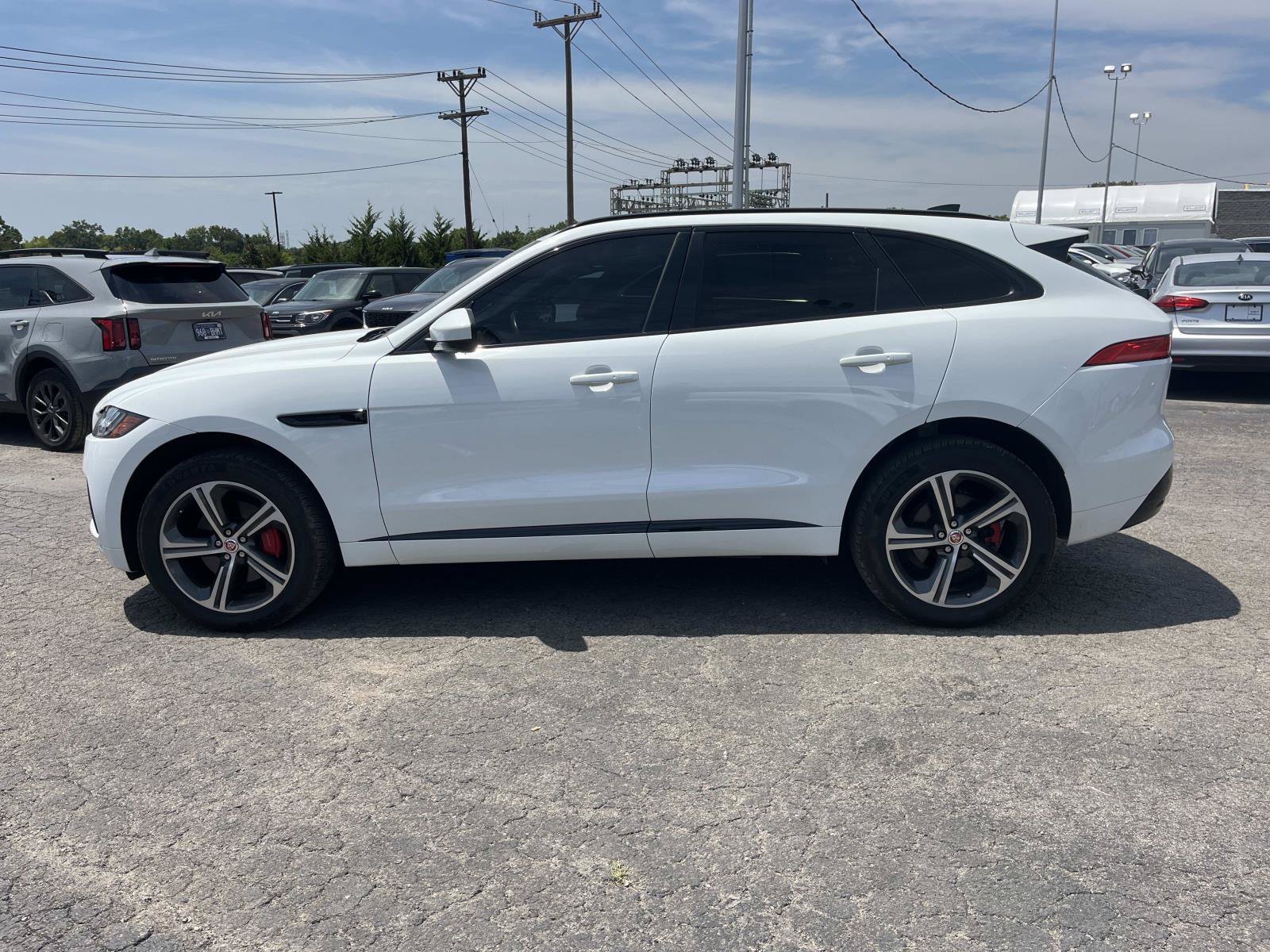 Used 2020 Fuji White Jaguar S image 4