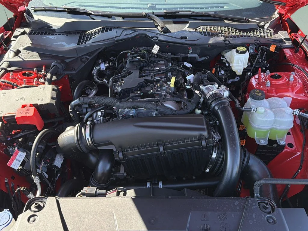 New 2026 Race Red Ford EcoBoost® Fastback image 44