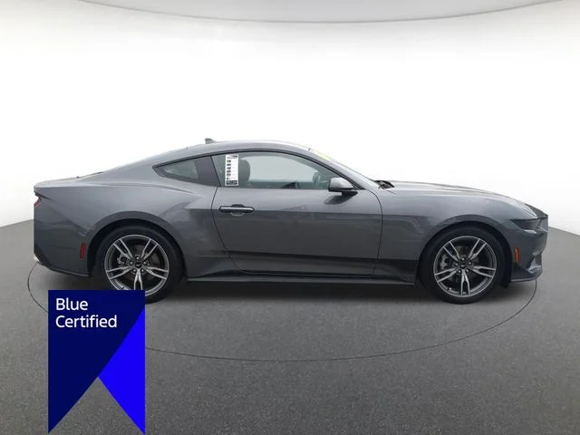 Used 2025 Gray Ford EcoBoost image 2