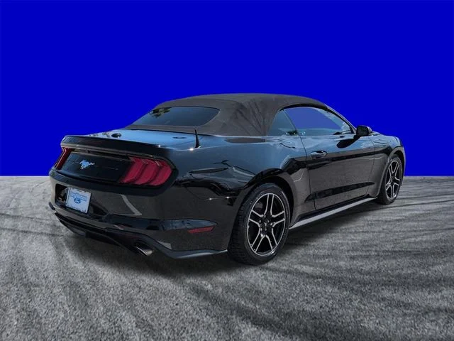 Used 2019 Black Ford EcoBoost Premium image 4