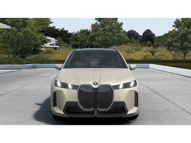 2026 Bmw iX photo 3