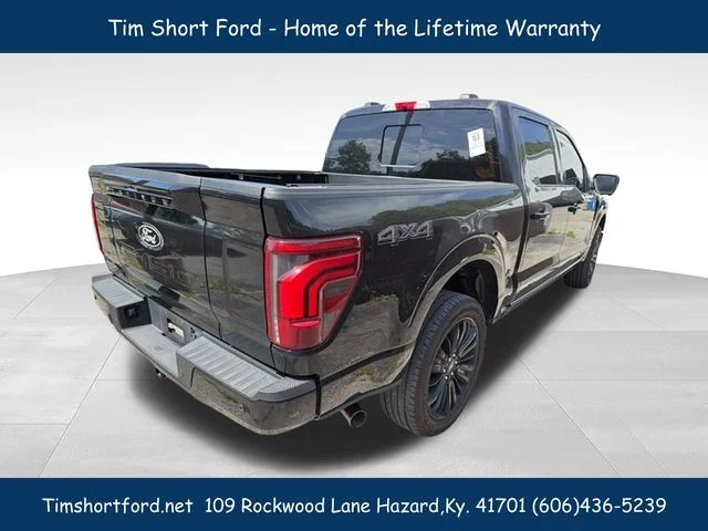 Used 2025 Black Ford Platinum image 4