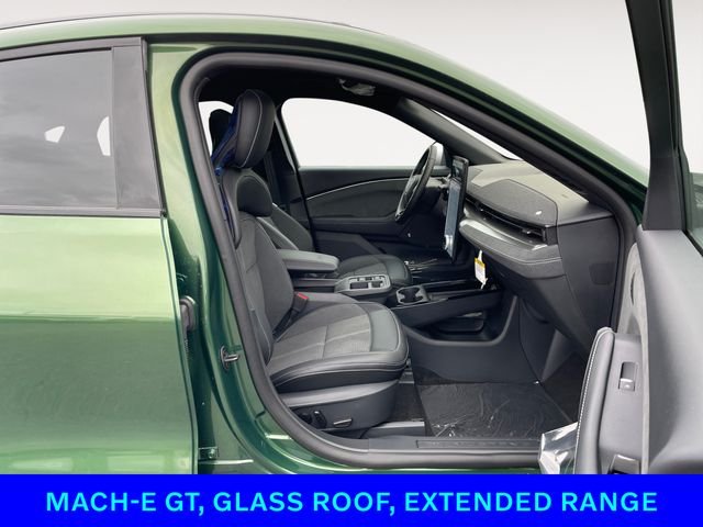 2025 Ford Mustang Mach-E GT - Photo 15