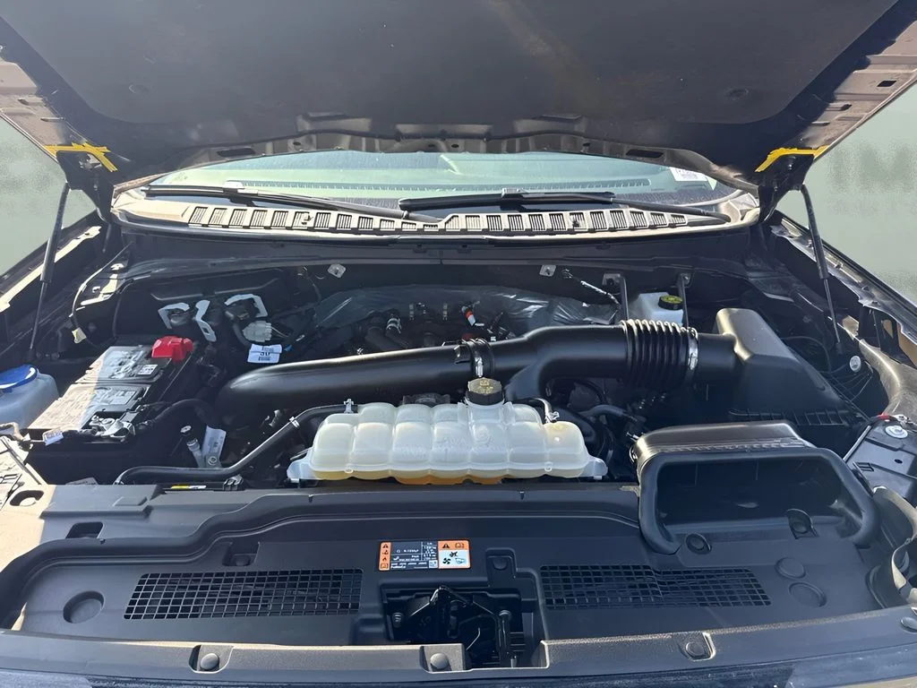 Used 2025 Gray Ford Active image 25