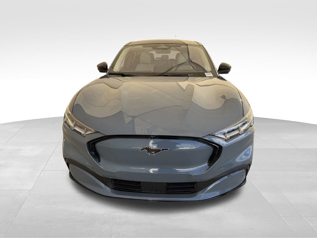Used 2023 Vapor Blue Ford Premium image 4