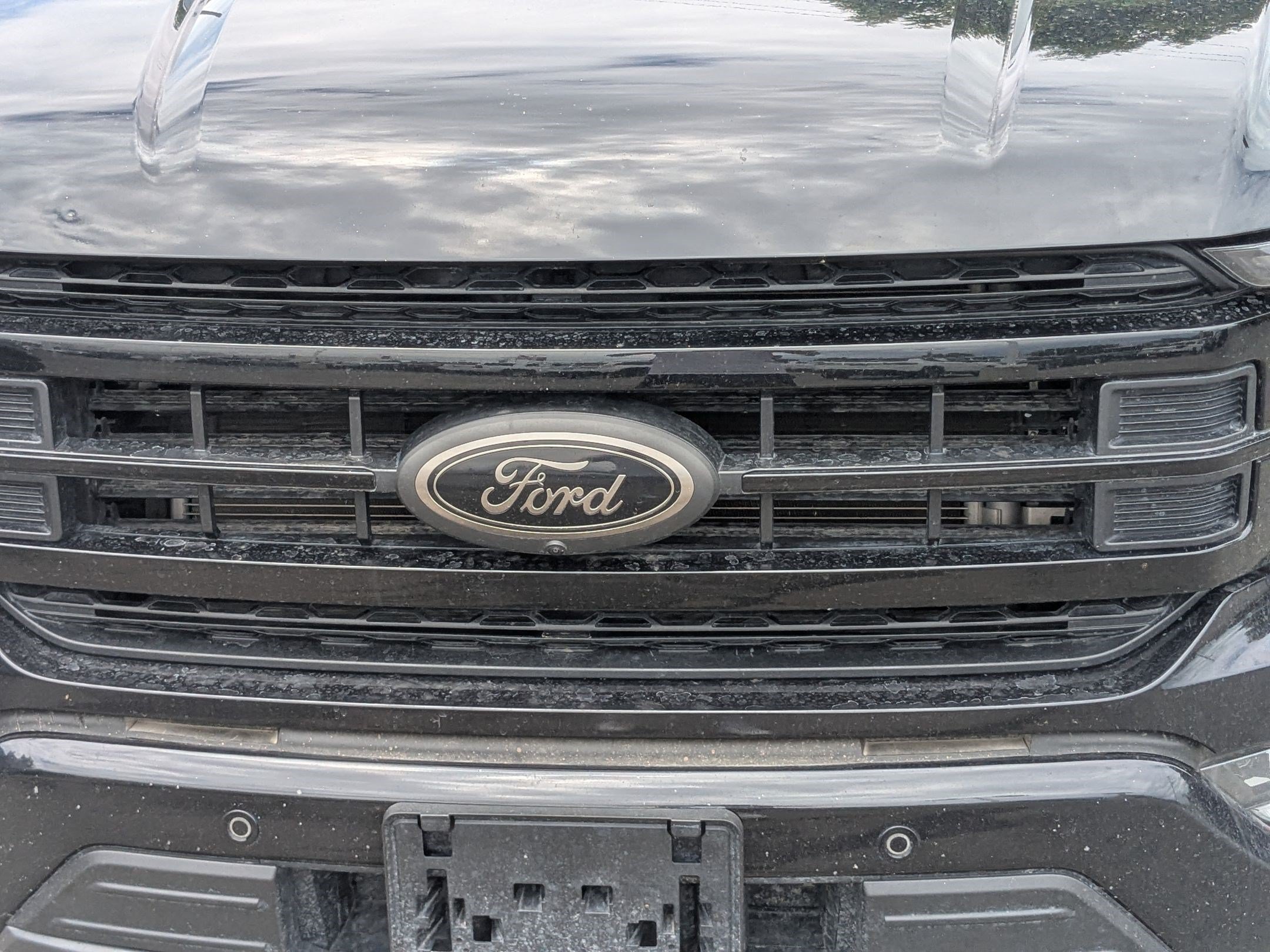 Used 2023 Blue Ford Platinum image 10