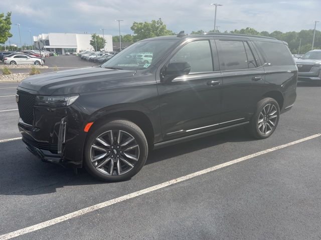 2023 Cadillac Escalade 4WD Sport's photo