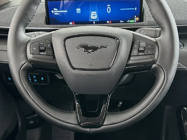 New 2026 Gray Ford Premium image 14