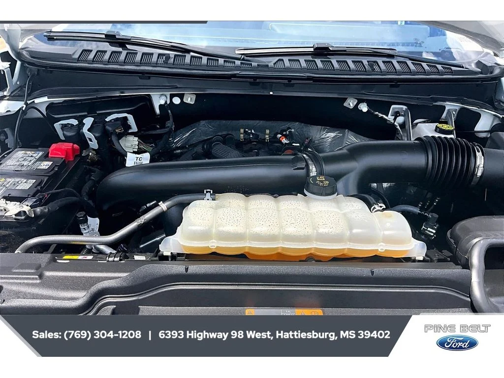 Used 2025 WHITE Ford Active image 8