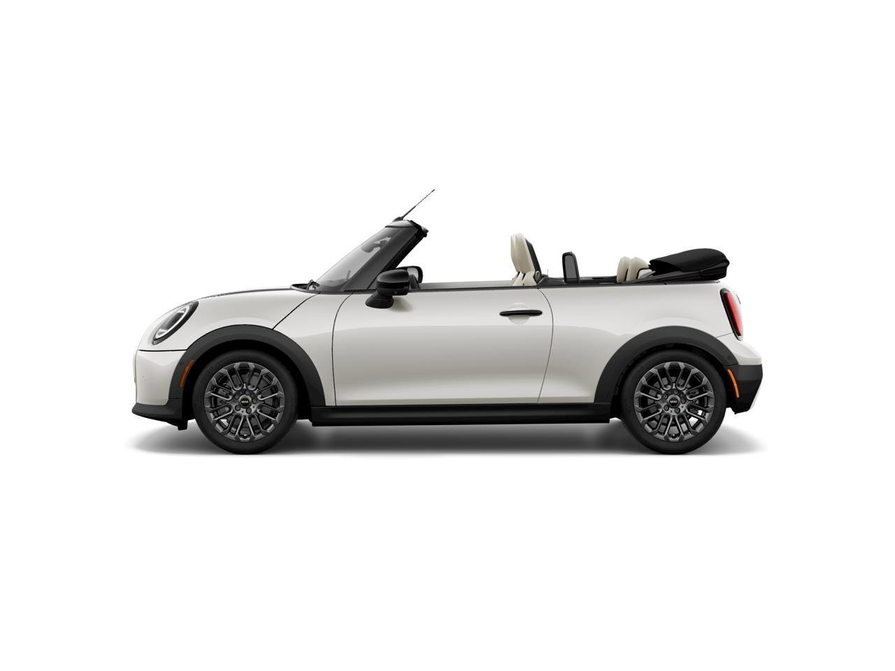 New 2026 Nanuq White Metallic MINI ICONIC image 4