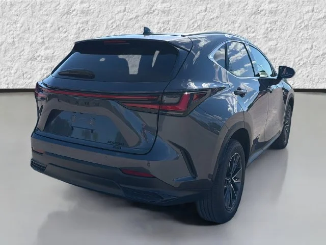 New 2026 Cloudburst Gray Lexus PREMIUM image 3