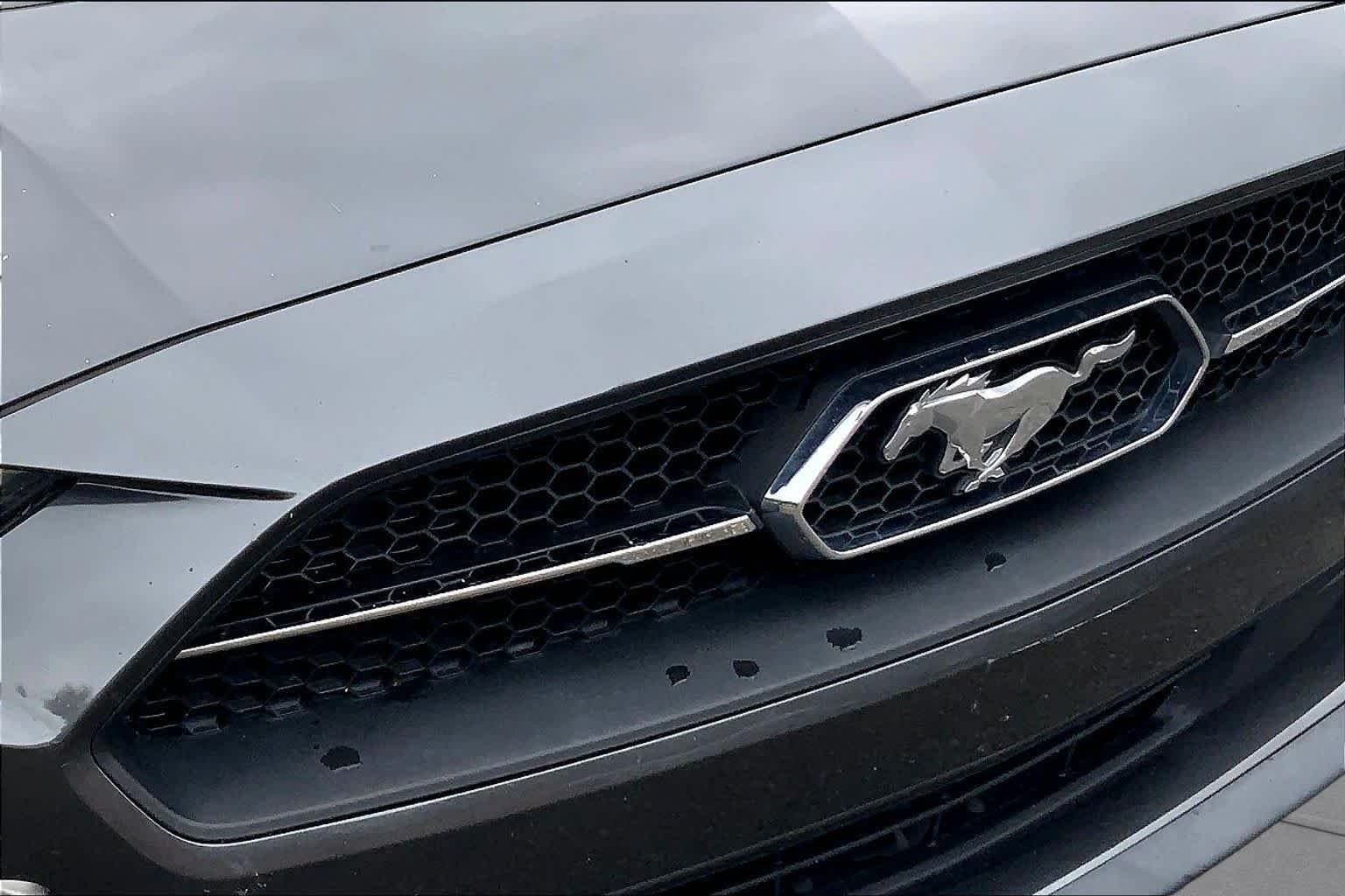 Used 2019 Magnetic Ford EcoBoost Premium image 28