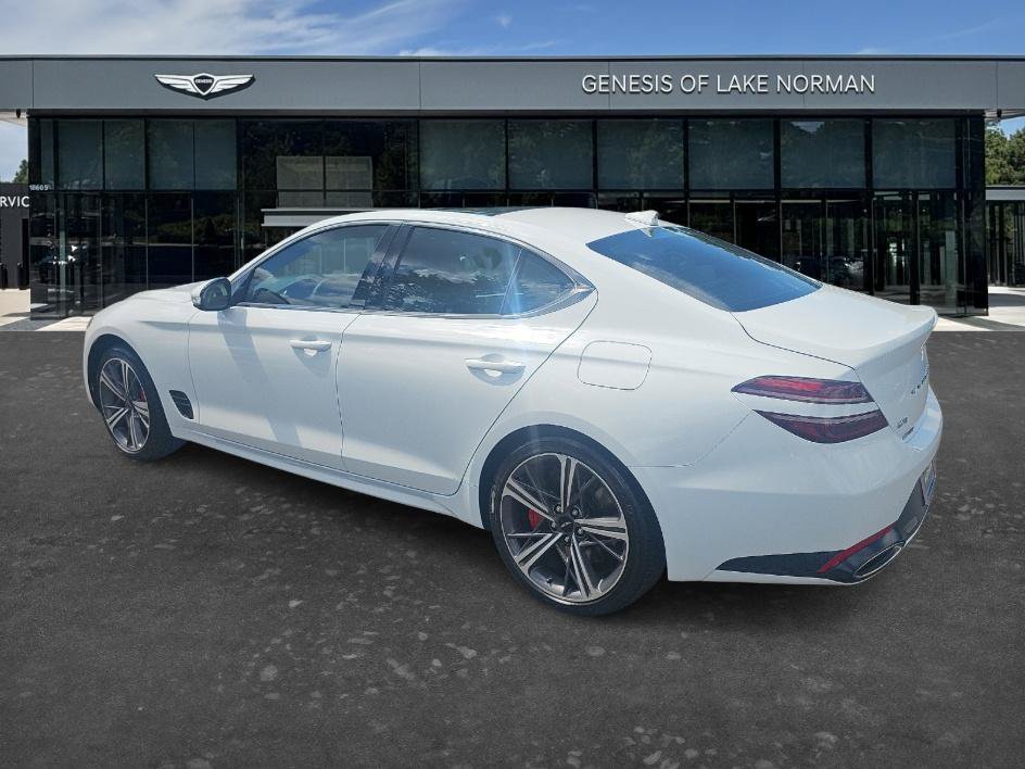 Used 2025 Alta White Genesis 2.5T image 6