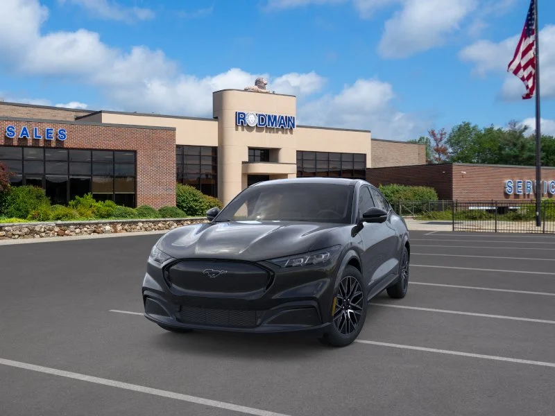 New 2026 Shadow Black Ford Premium image 31