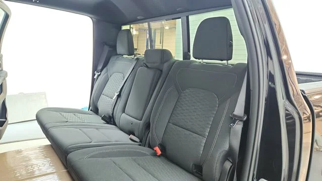 New 2026 Diamond Black Crystal Pearl-Coat Exterior Paint RAM Big Horn/Lone Star image 18