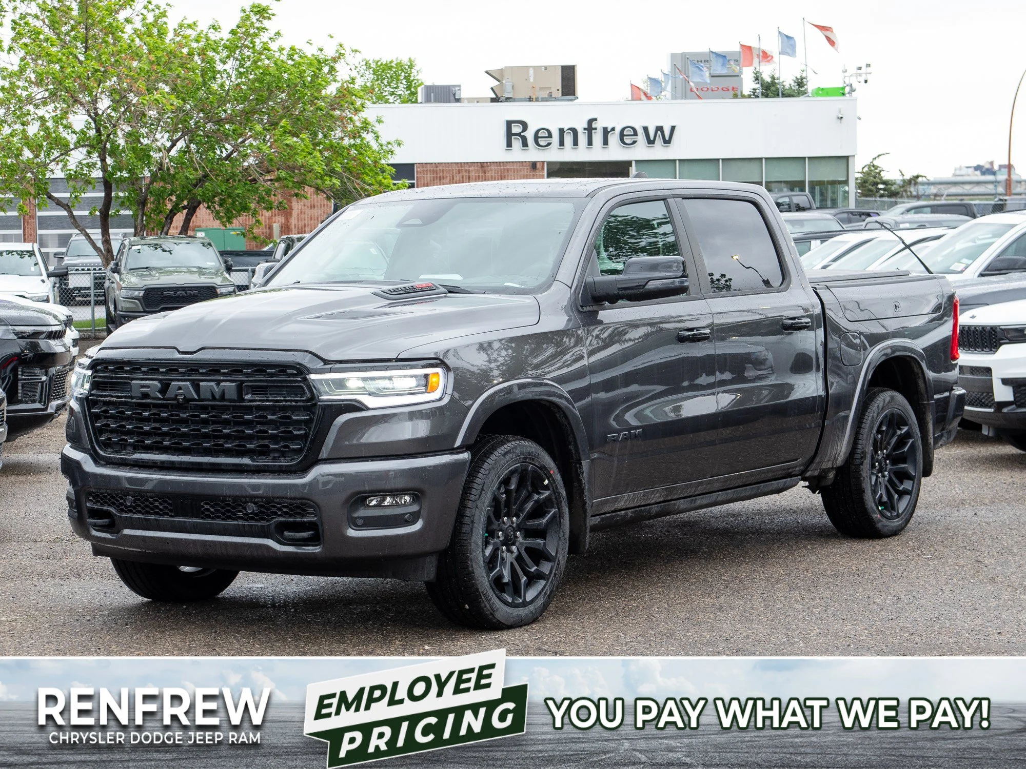 New 2026 Grey RAM Limited* image 1