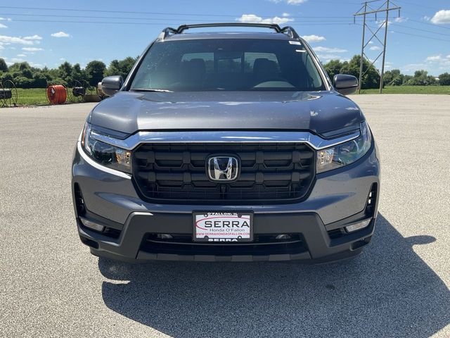 New 2026 Modern Steel Metallic Honda RTL image 11