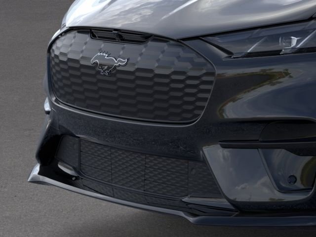 New 2026 Shadow Black Ford Premium image 17
