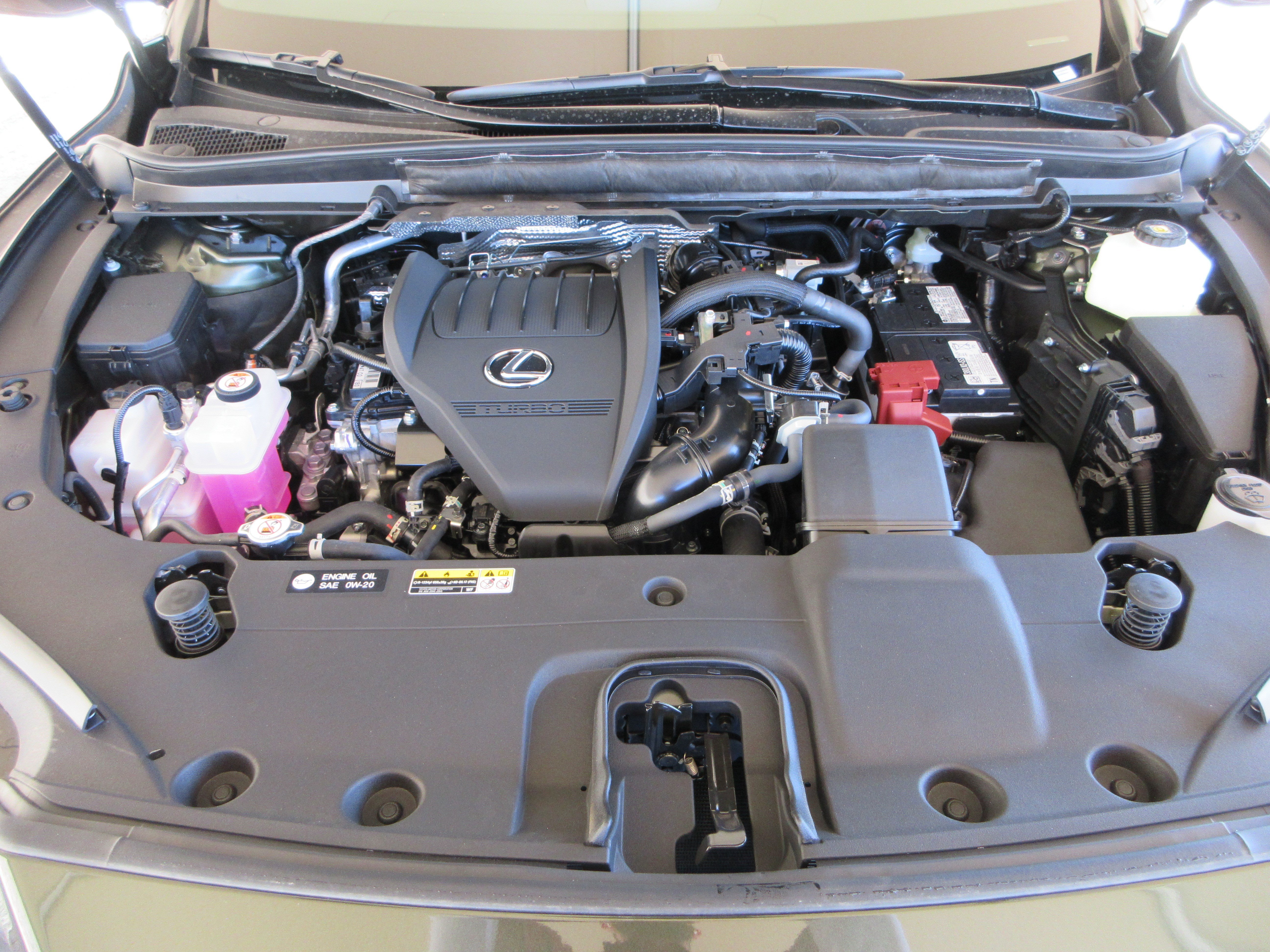 New 2026 Nori Green Pearl Lexus PREMIUM image 45