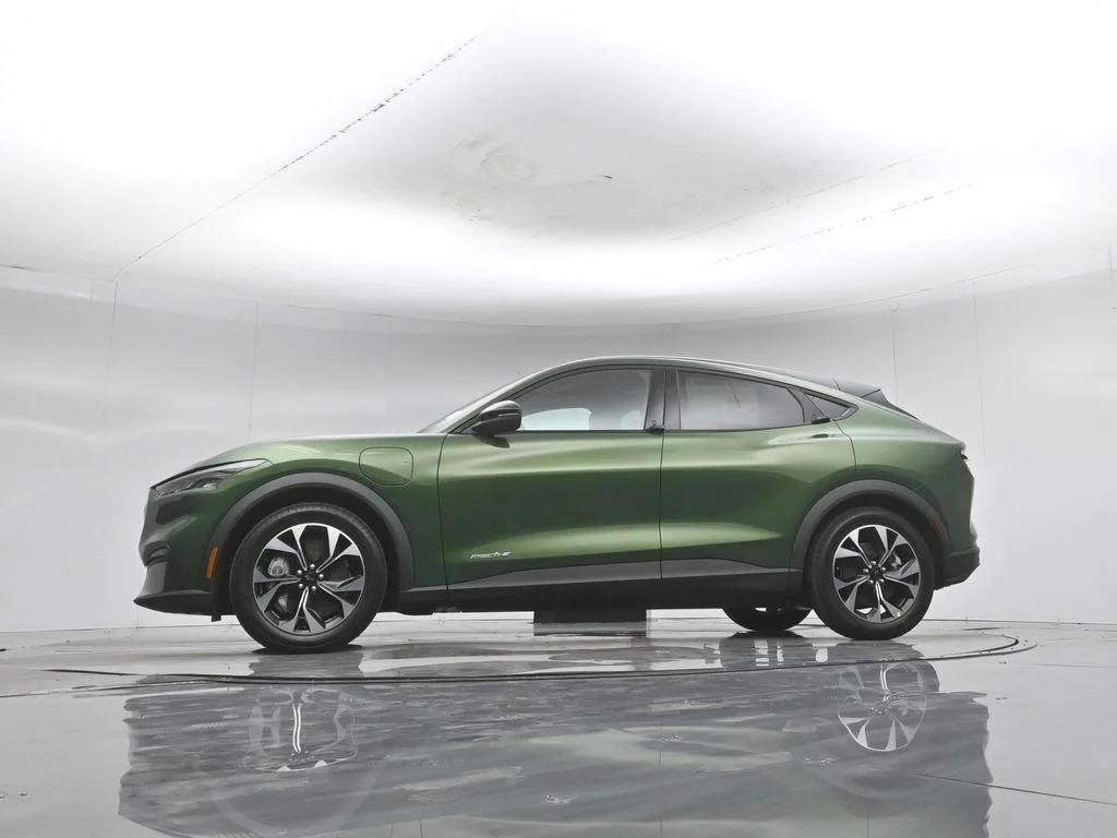 New 2026 Eruption Green Metallic Ford Select image 49