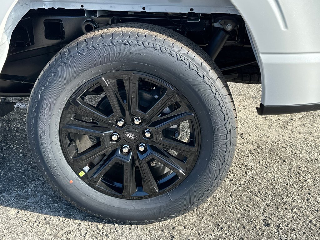 New 2025 White Ford Platinum image 19