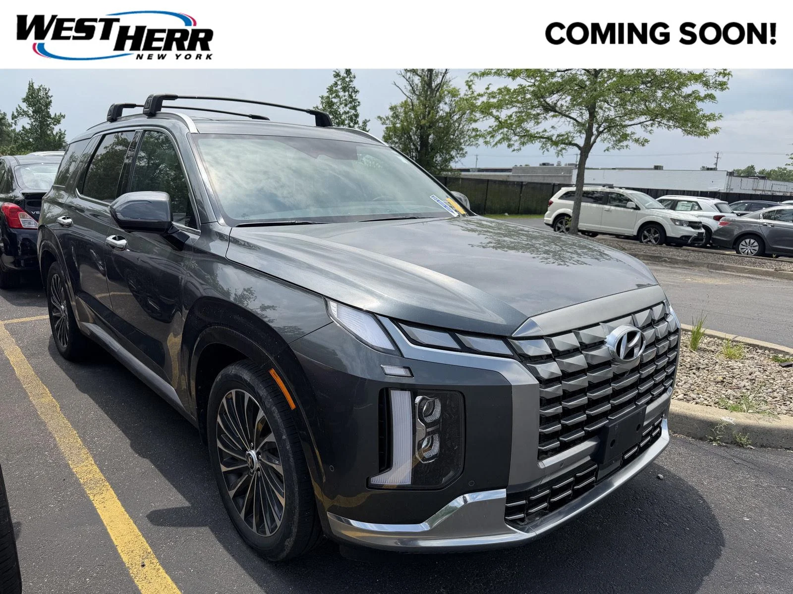 Used 2023 Steel Graphite Hyundai Calligraphy image 1