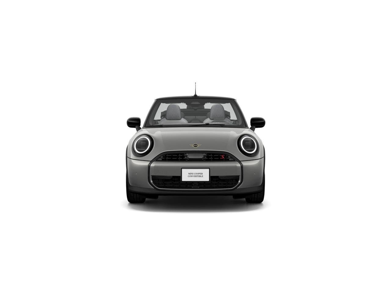 New 2026 Melting Silver III Metallic MINI SIGNATURE PLUS image 2
