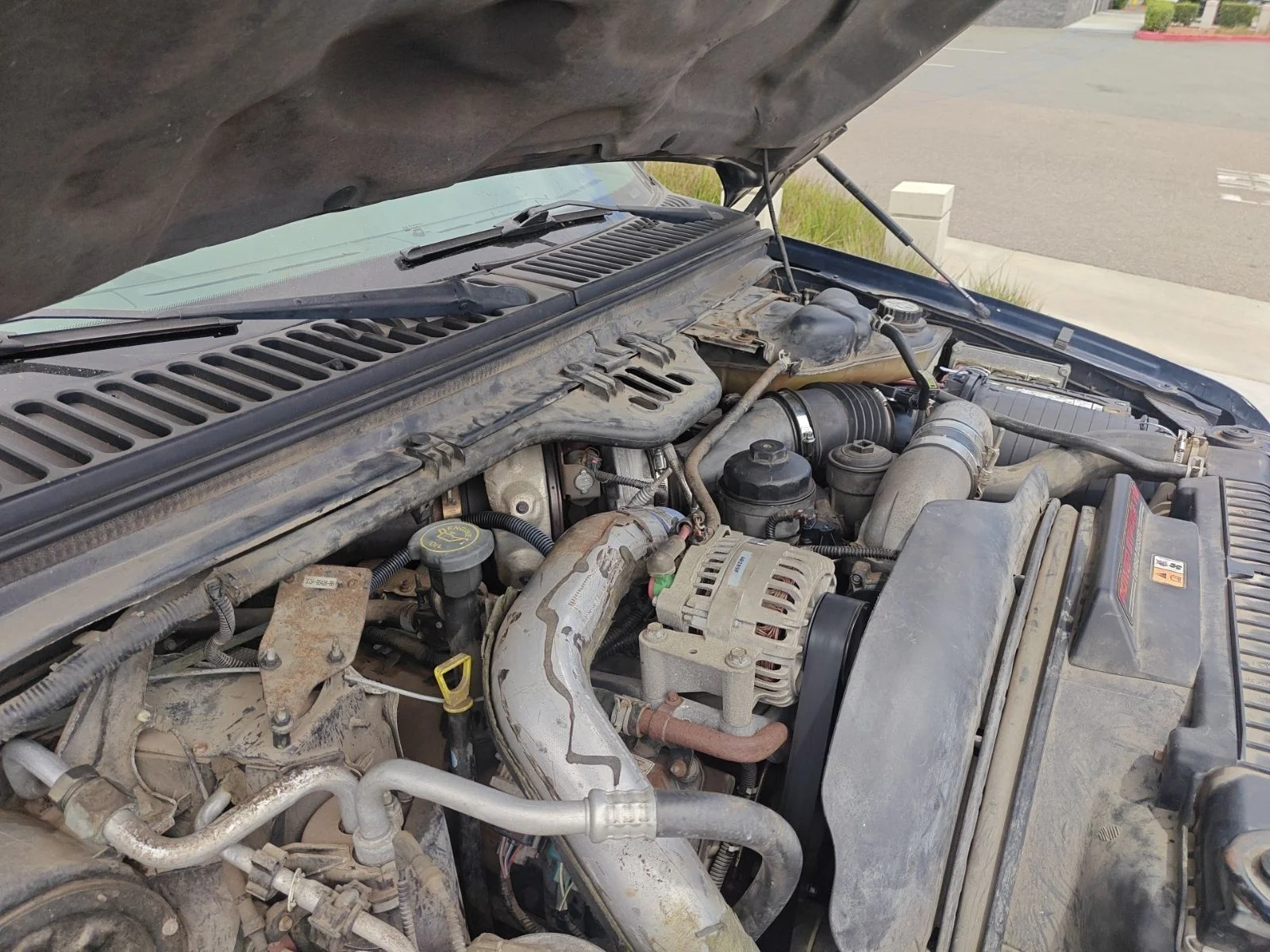 Used 2003 Blue Ford  image 10