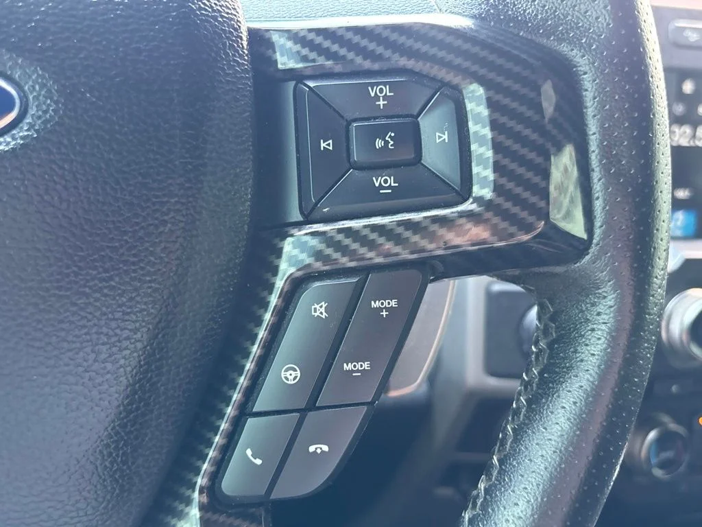 Used 2017  Ford Raptor image 22