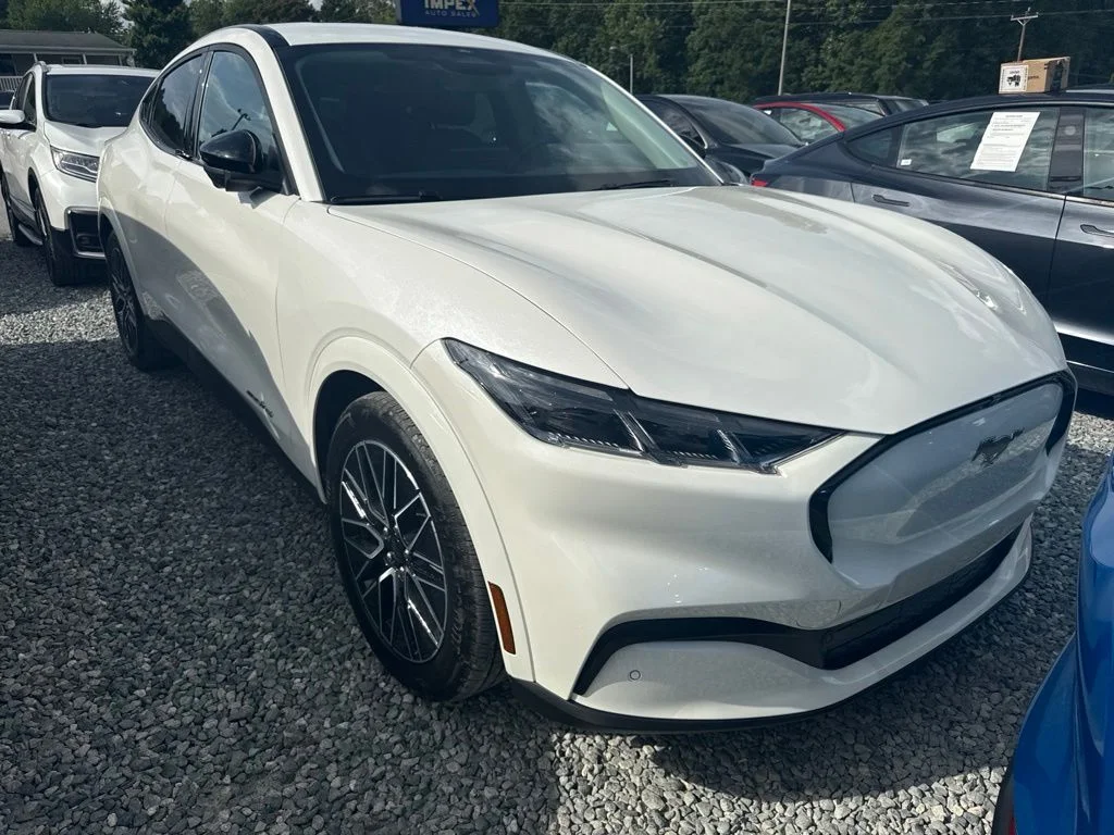 Used 2025 White Ford Premium image 2