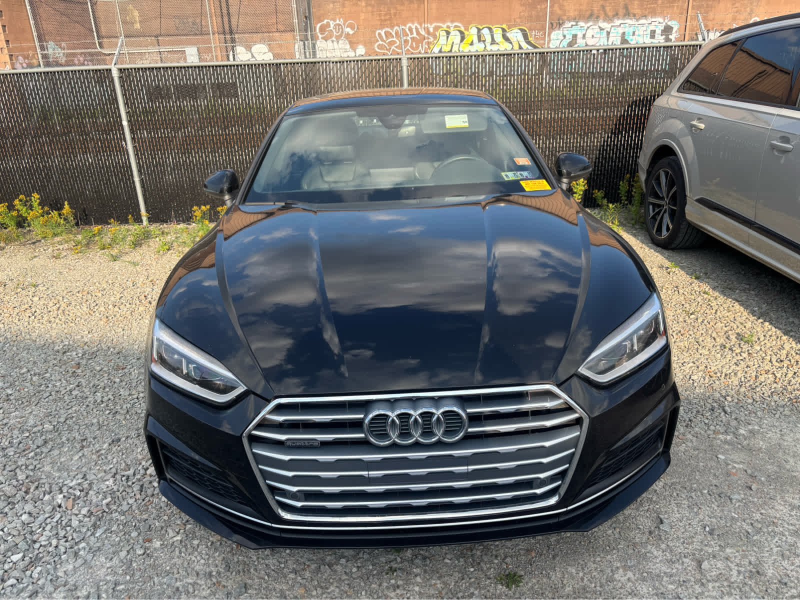 2019 Audi A5 Sportback 2.0T Premium Plus quattro S tronic's photo