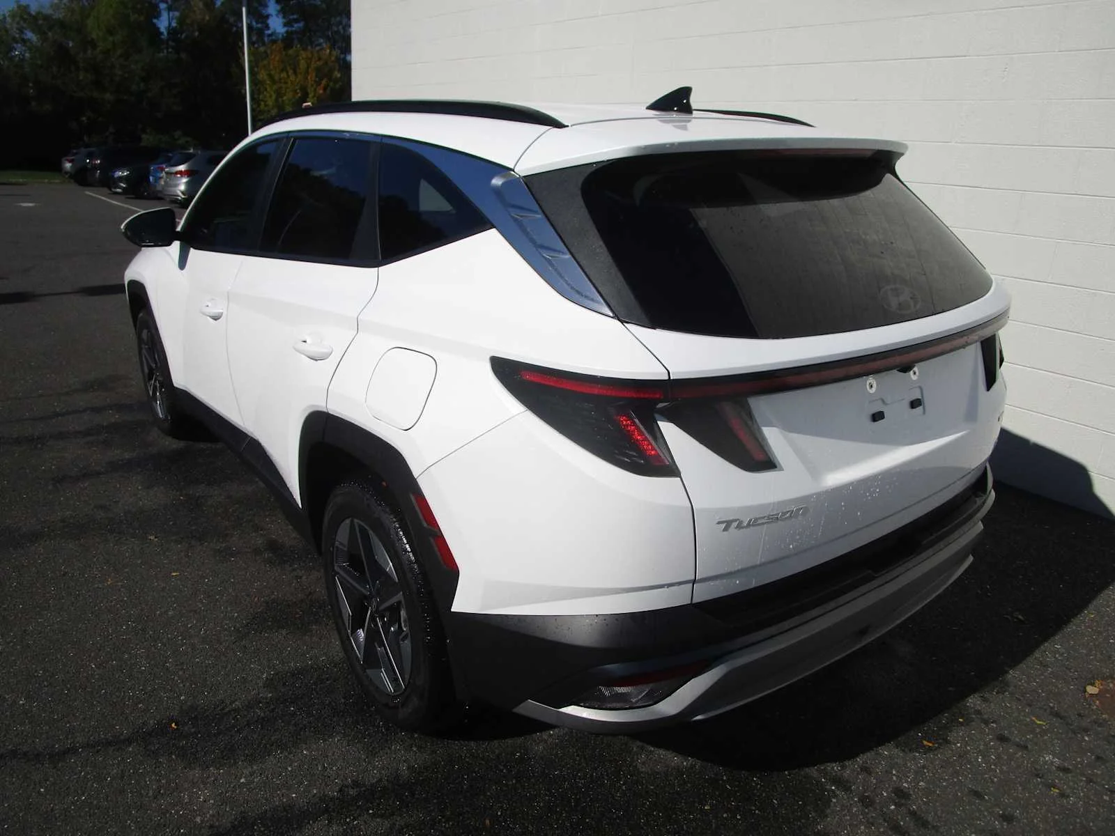 Used 2025 Serenity White Pearl Hyundai SEL Convenience image 6