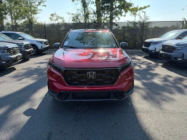 Used 2024 Radiant Red Honda Sport-L image 2